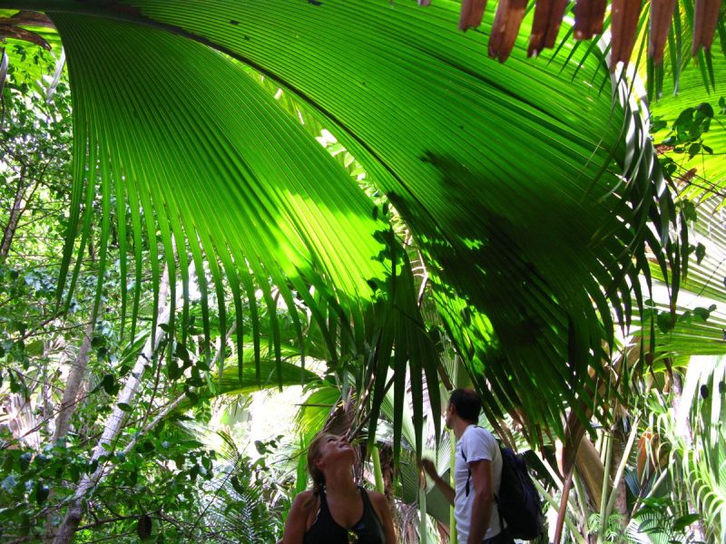 Seychelles