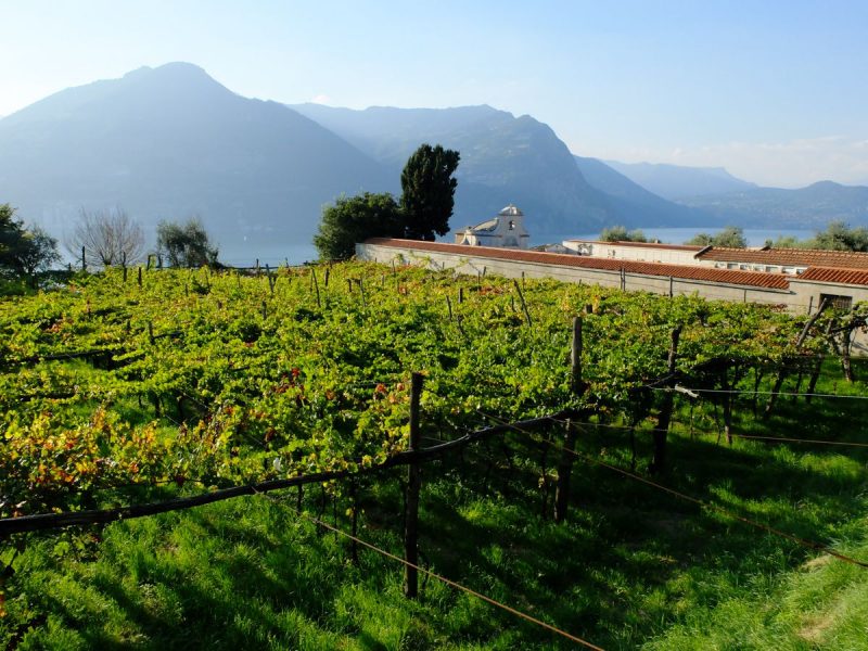 Monte Isola