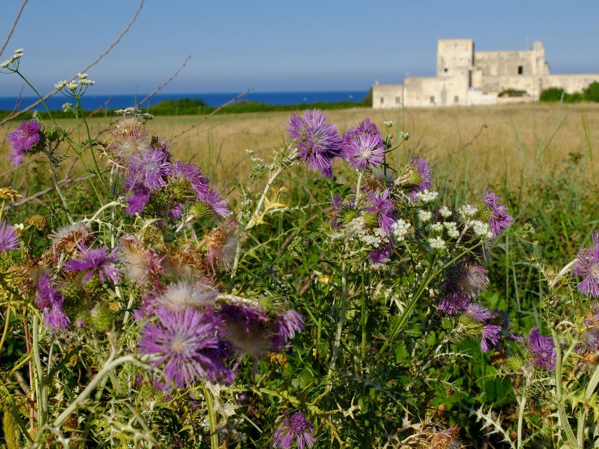 Alla scoperta del Salento: Otranto, le spiagge e i piccoli borghi