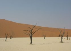 Viaggio in Namibia: 12 giorni tra il deserto del Namib e i safari nell'Etosha