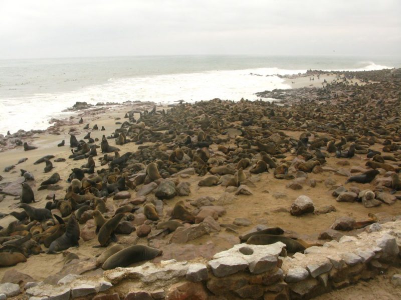 Namibia