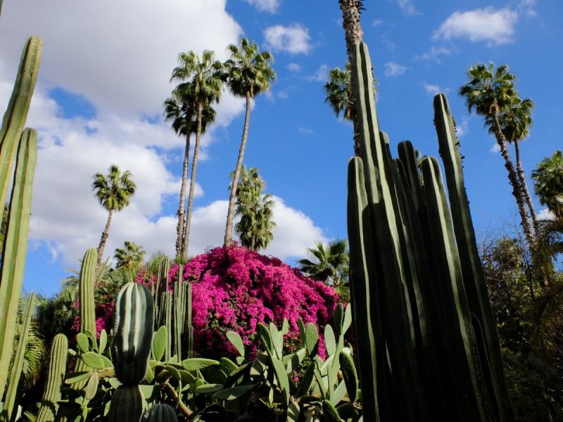 Marrakech