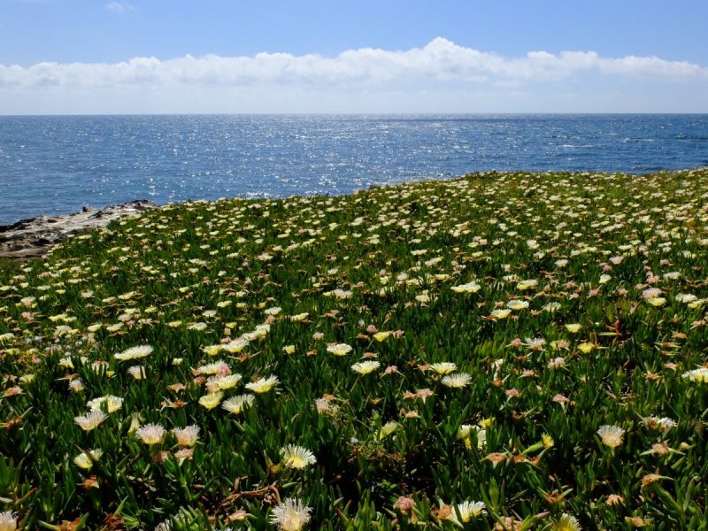 Sicilia