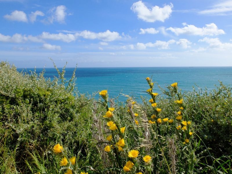 Sicilia