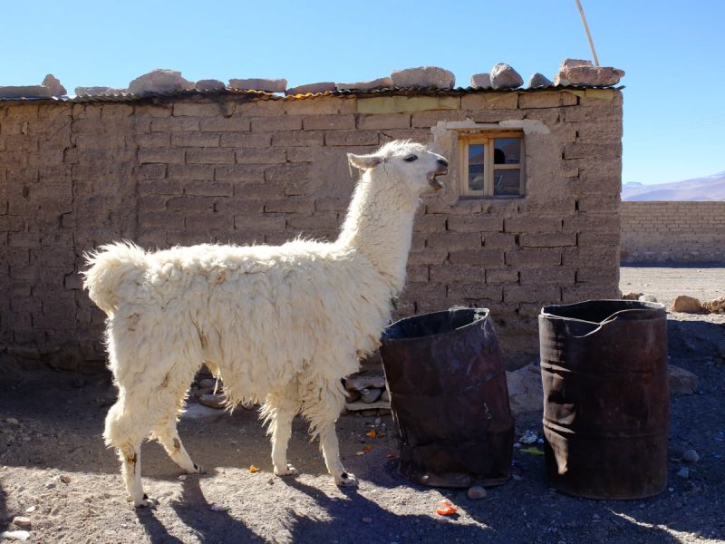 Bolivia