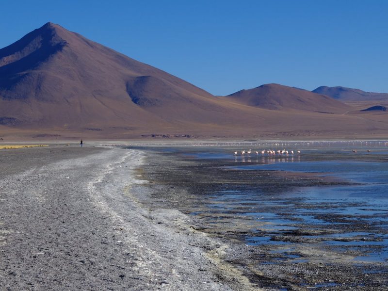 Laguna colorada -Bolivia