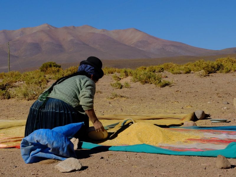 donna boliviana