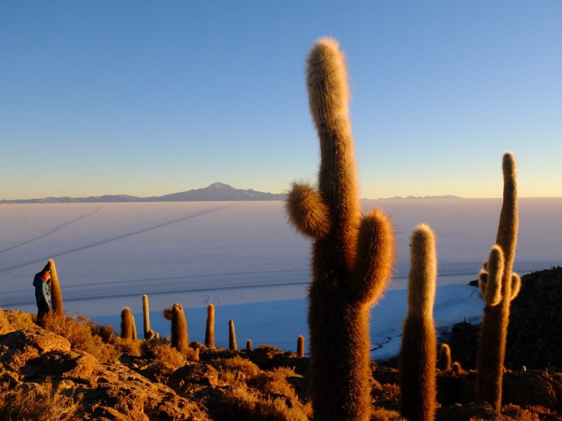alba sul salar de Uyuni