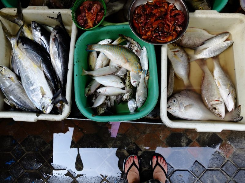 Phi Phi Island - mercato a Tonsai Phi Phi Island - mercato a Tonsai
