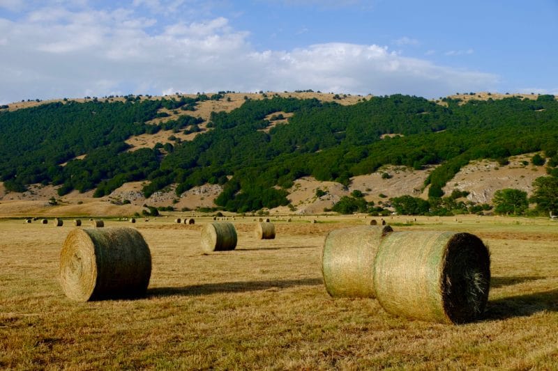 abruzzo