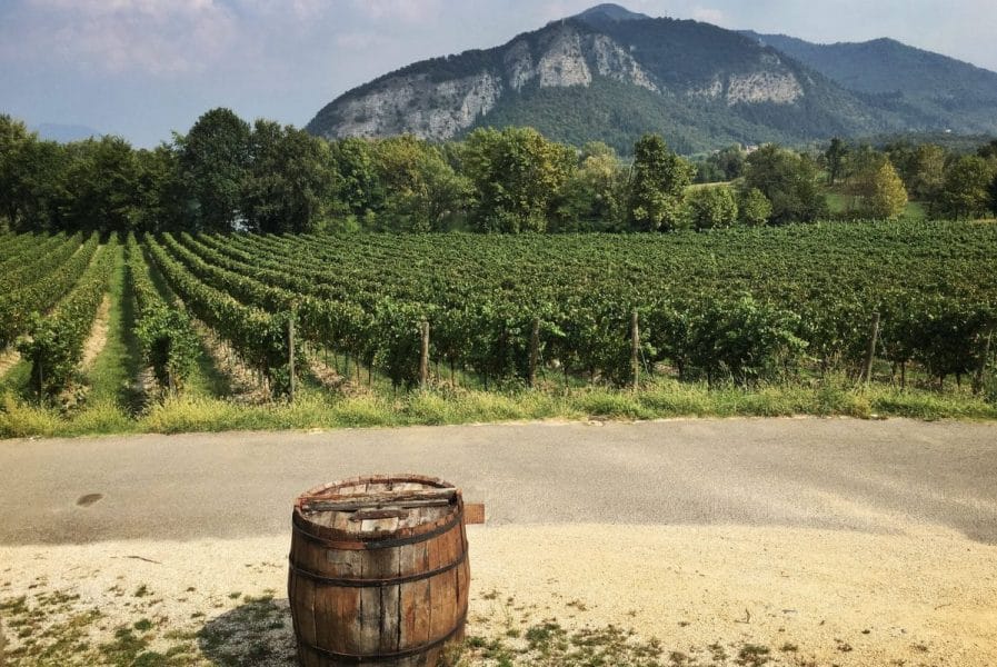 Franciacorta