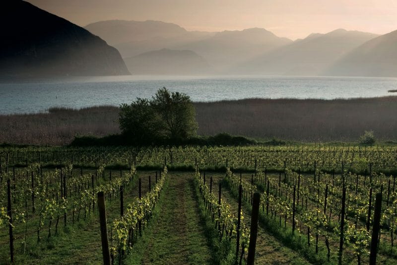 Franciacorta