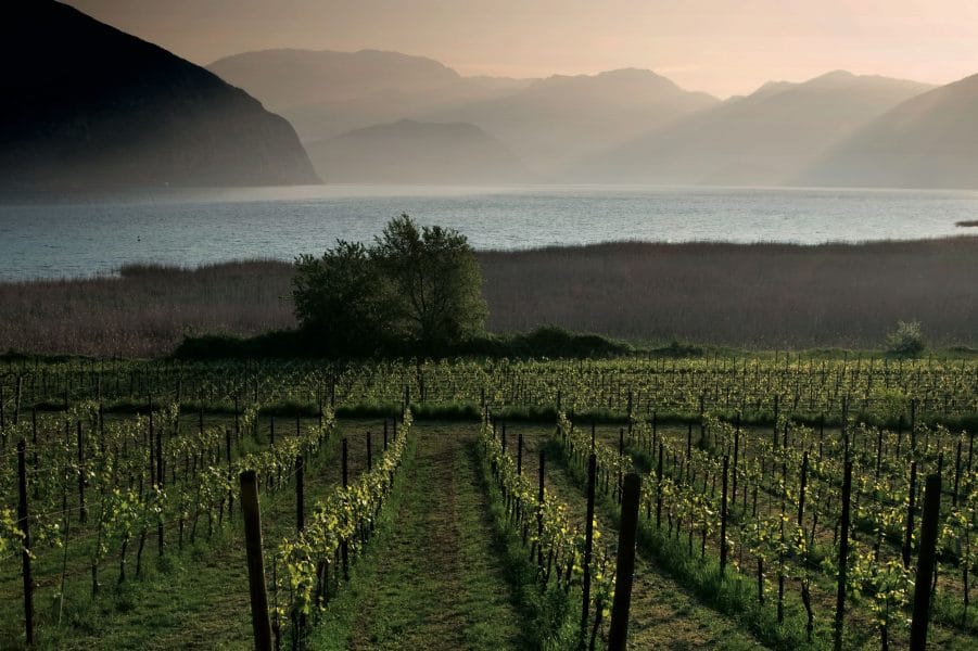 Franciacorta
