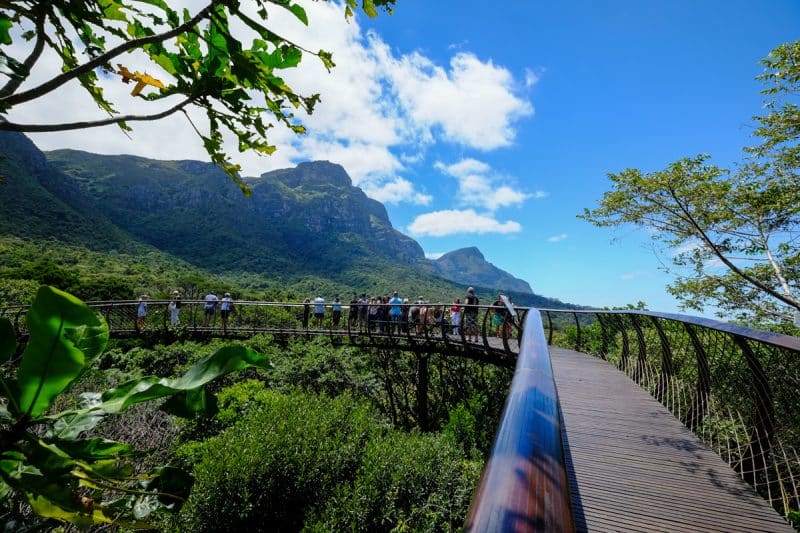 Cape Town - Kirstenbosh Botanical Gardens