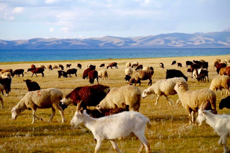 Kirghizistan