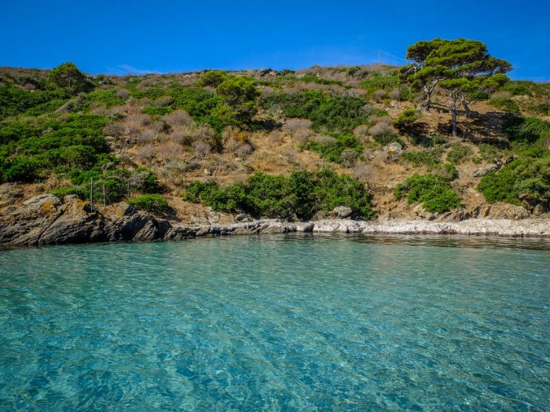 L Asinara Cosa Vedere E Come Spostarsi In Questa Isola Unica