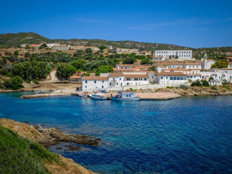 L Asinara Cosa Vedere E Come Spostarsi In Questa Isola Unica