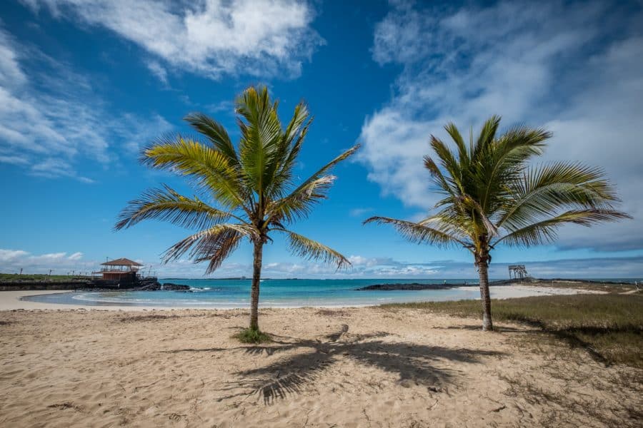 galapagos - isabela
