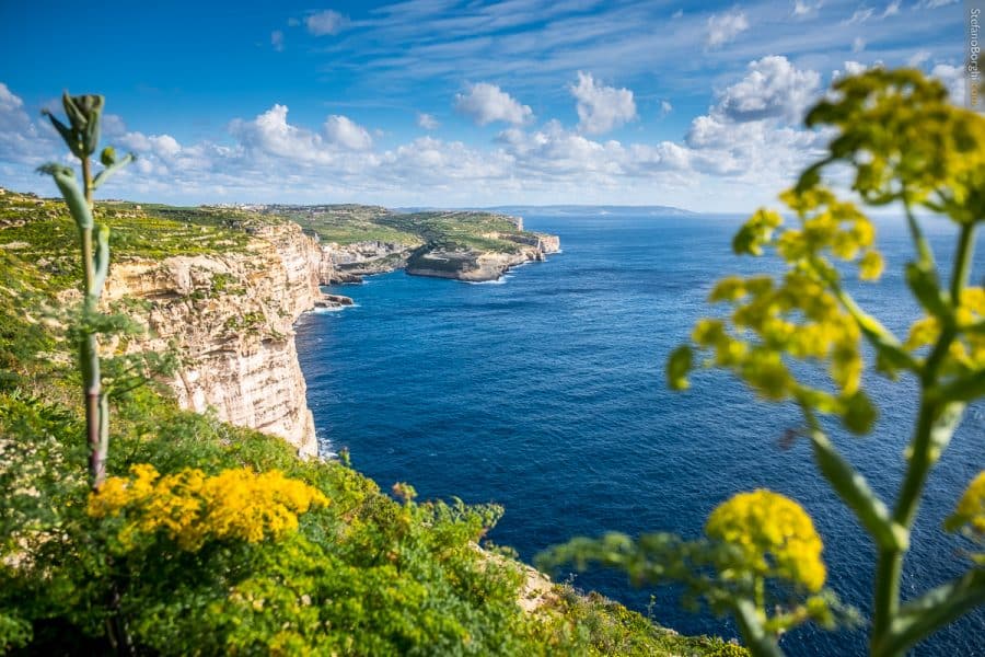 trekking sulle scogliere di Gozo