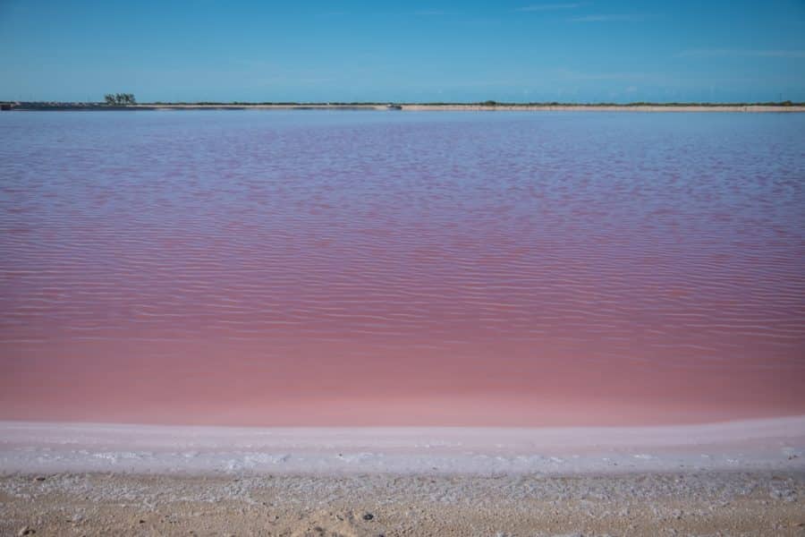 Yucatan -Las Coloradas