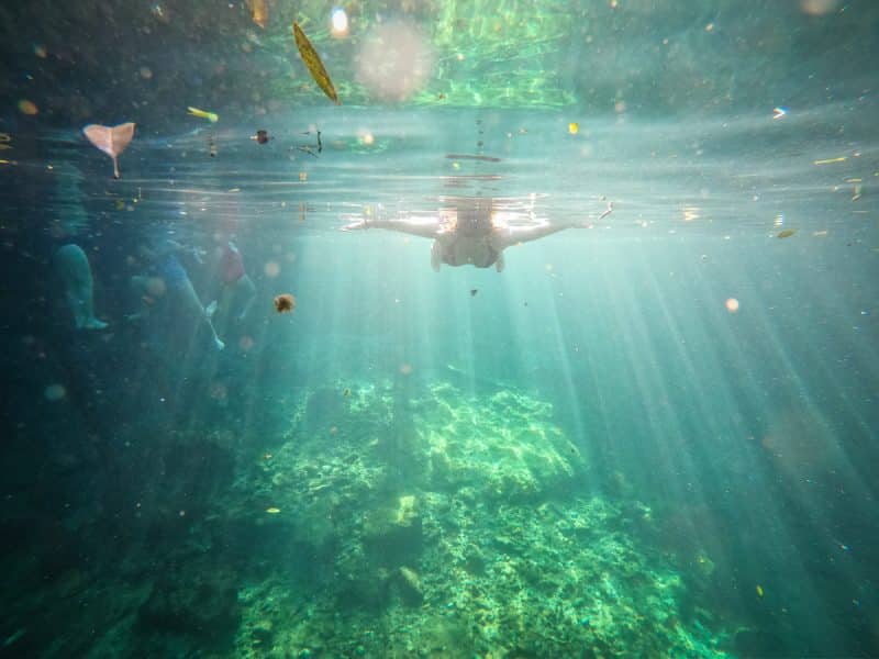 Tulum - cenote Casa Tortuga