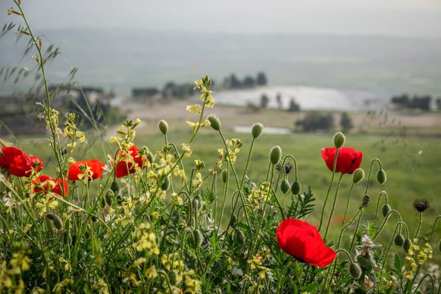 turchia - Heraclion