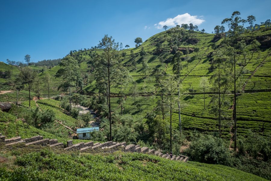 sri lanka