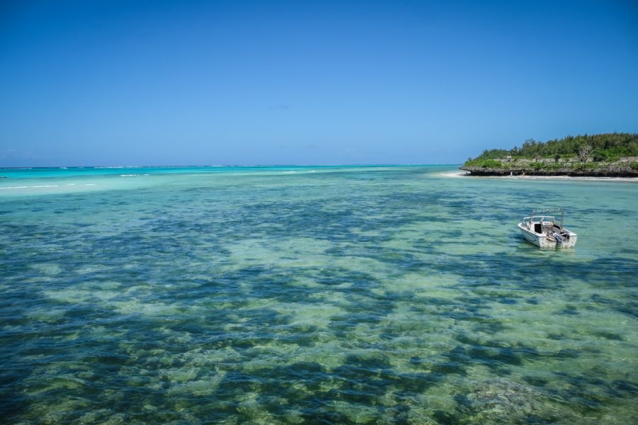 Per Andare A Zanzibar Servono Vaccinazioni