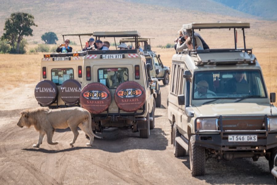 Tanzania-Safari_Ngorongoro