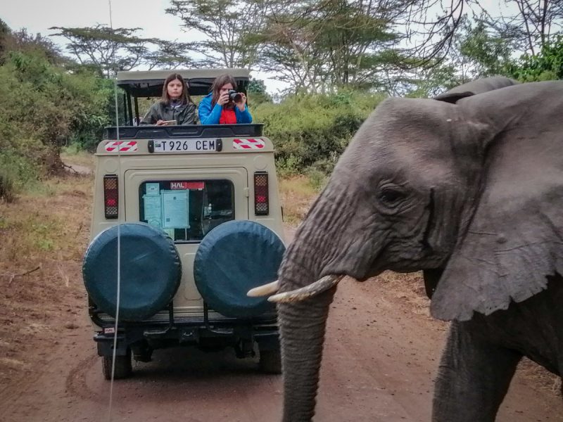 Tanzania-Safari_Lake Manyara