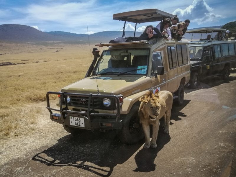 Tanzania-Safari_Ngorongoro