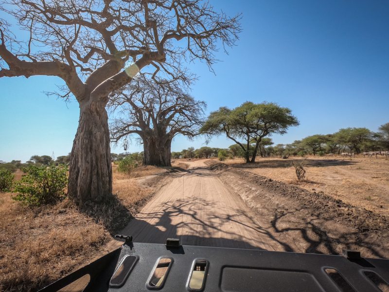 Tanzania-Safari_Tarangire