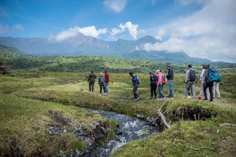 Tanzania-Safari_Arusha Nat Park