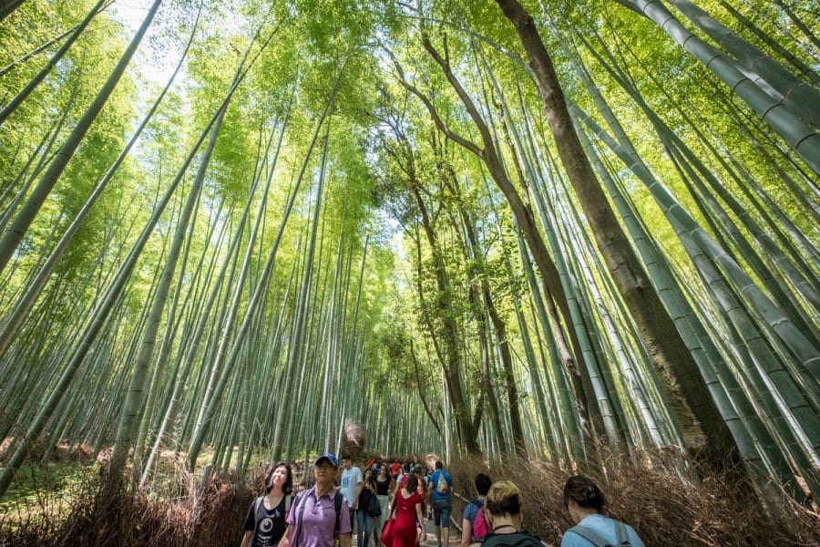Viaggio in Giappone - Kyoto