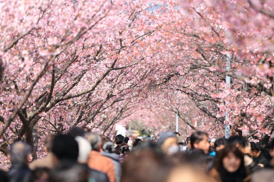 quando andare a Tokyo