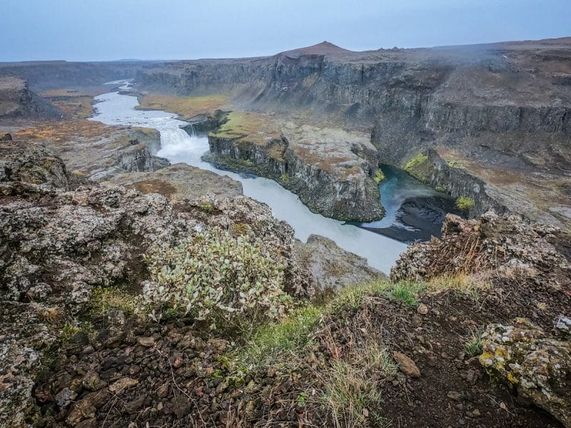 Islanda - Dettifoss