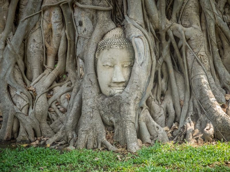 Ayutthaya