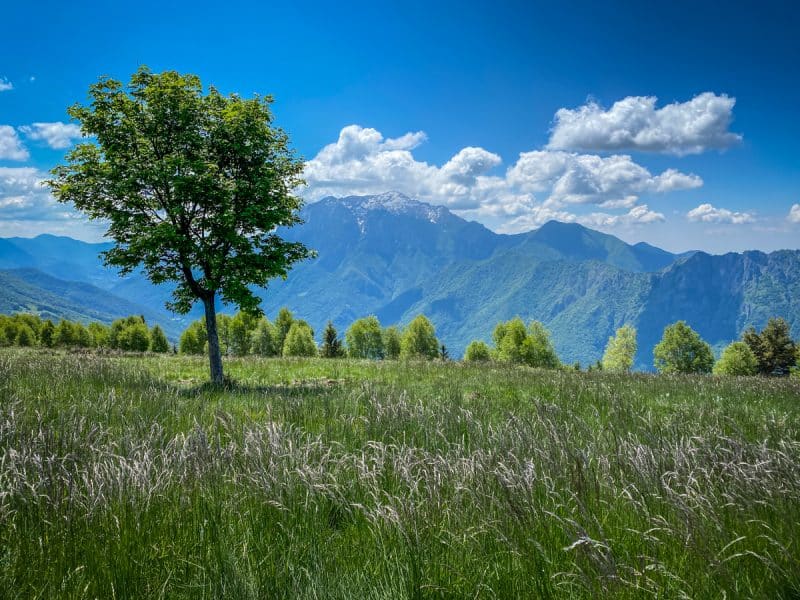 Trekking vicino Milano- Alpe Giumello