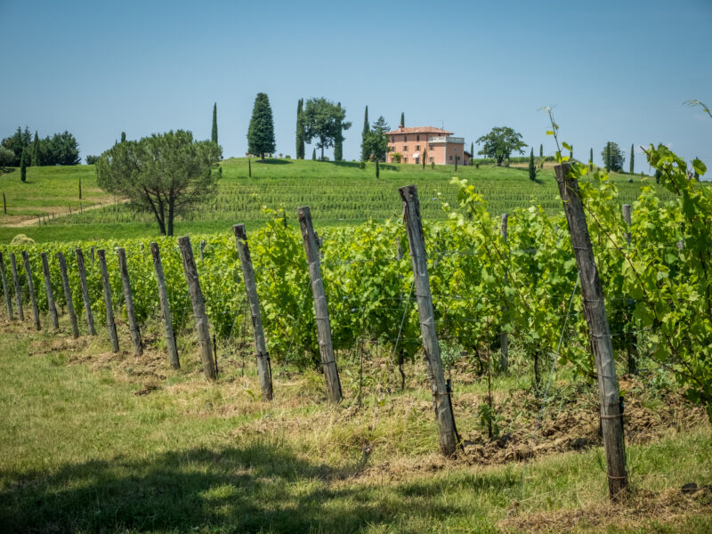 Cosa vedere in Friuli -Collio