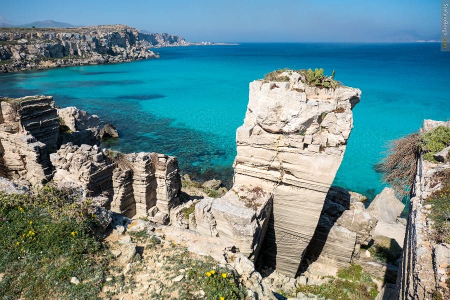favignana- Bue marino