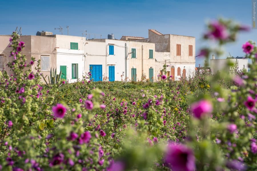 favignana