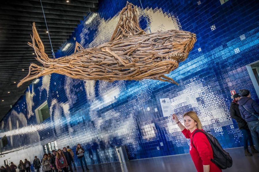Cosa vedere a Lisbona - Oceanario