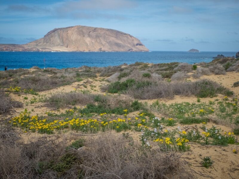 Playa de las Conchas