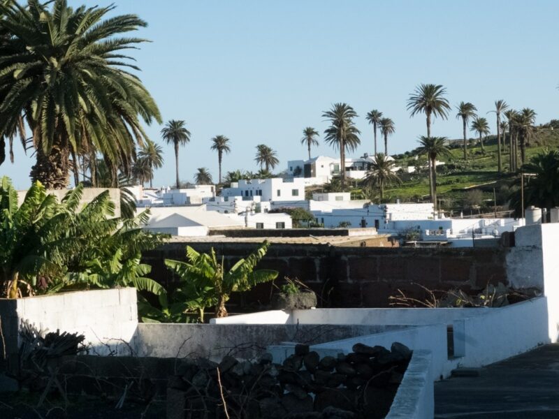 Haria - Lanzarote