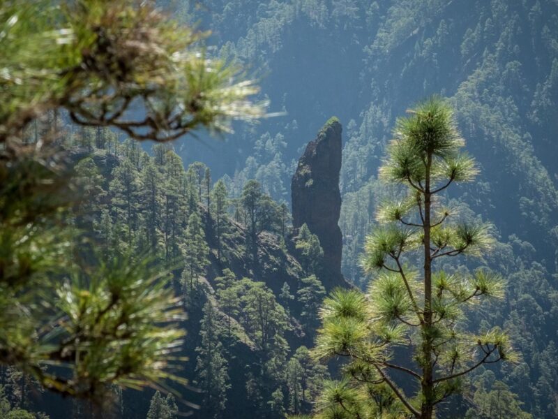 Trekking nella Caldera del Taburiente