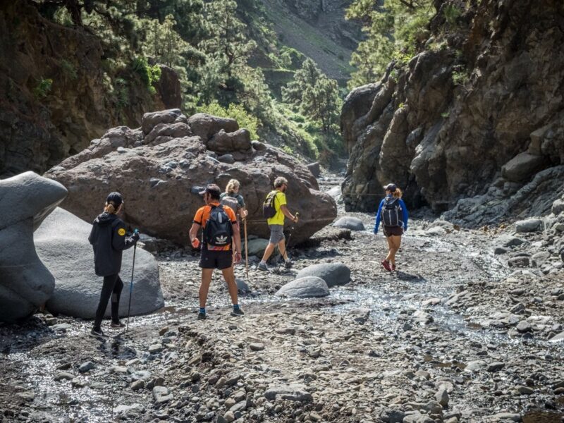 Trekking nella Caldera del Taburiente