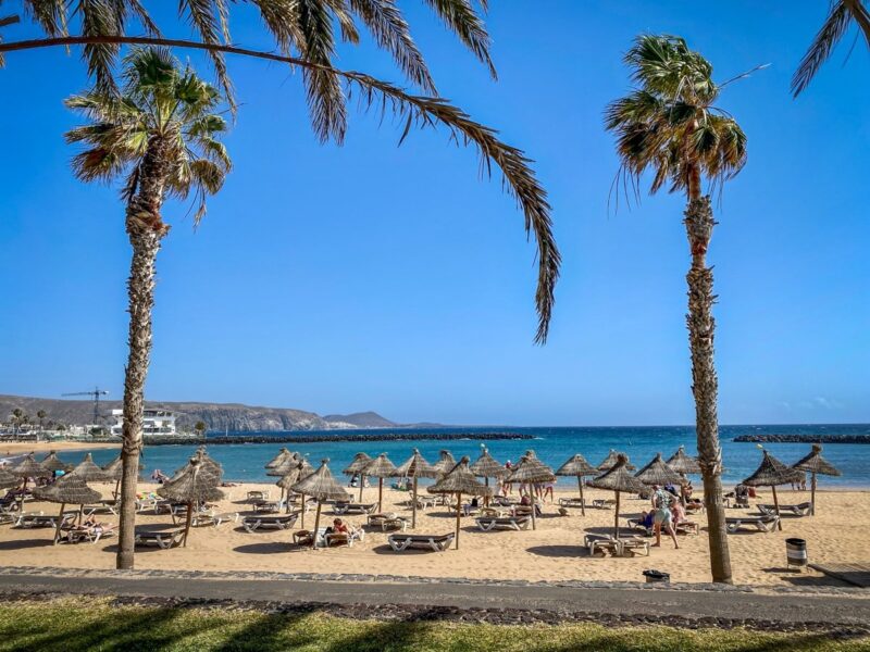 Cosa vedere a Tenerife Sud: Playa las Americas
