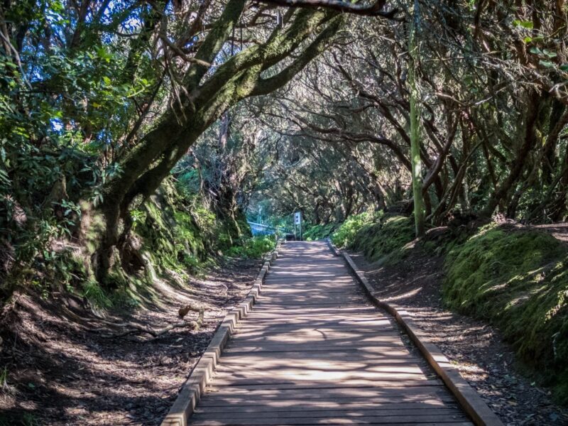 Trekking a Tenerife - Monti Anaga