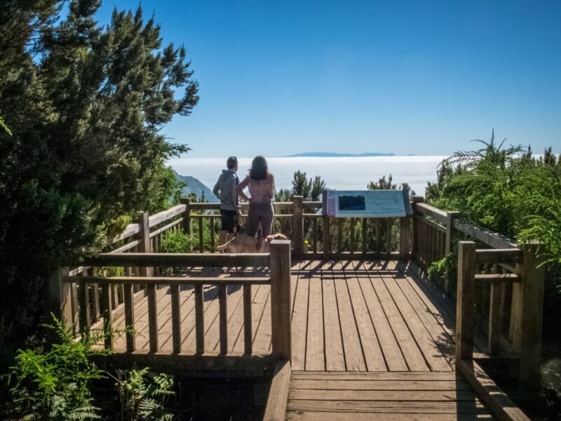 Trekking a Tenerife - Mirador Pico del Inglés