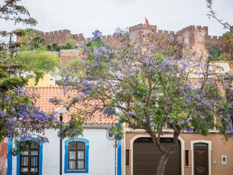 Silves